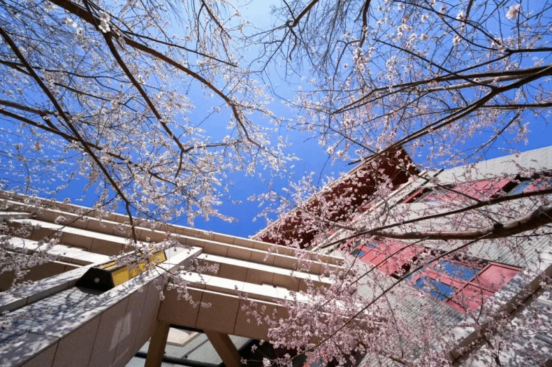 《光明日报》：当经济学遇上人工智能——一个新专业诞生背后的故事